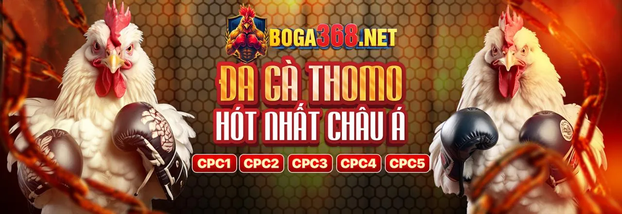 Đá Gà Trực Tiếp 1nk88